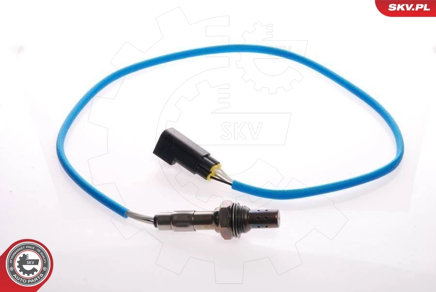 Oxygen Sensor